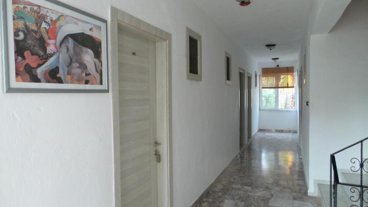Native Hotel ออวาจิค ภายนอก รูปภาพ