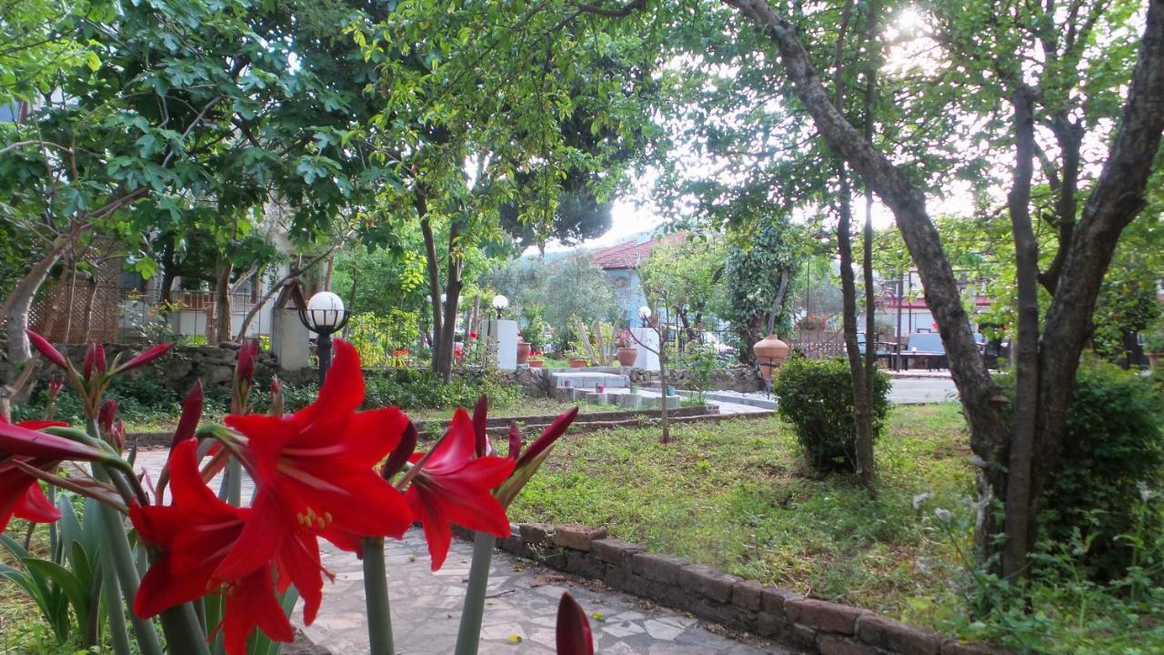Native Hotel ออวาจิค ภายนอก รูปภาพ
